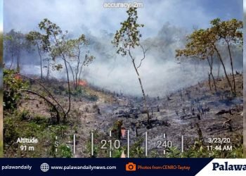 DENR investigates kaingin in Taytay town