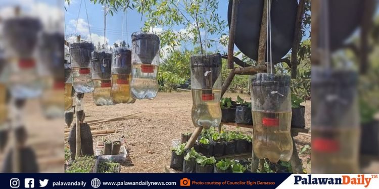 Public urged to do urban vegetable gardening