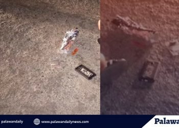 Duo arrested for evading COVID-19 checkpoint