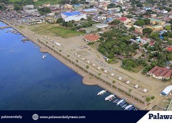 City Government seeks the lifting of ECQ if Puerto Princesa remains COVID-19 free until the end of March