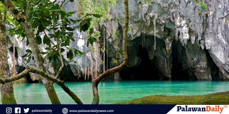 PPSRNP management temporarily postpones IECs on single-use plastic ban due the enhanced community quarantine