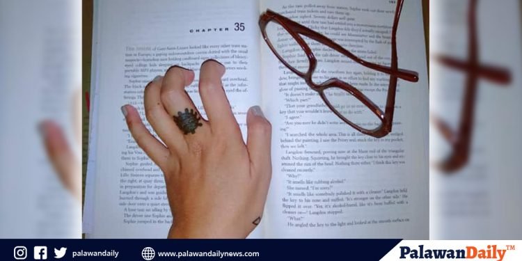 Six things to do to while on quarantine