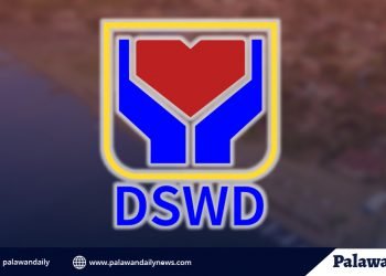 Imbestigasyon ni Santos ukol sa isyu ng face masks sa Narra,may resulta na