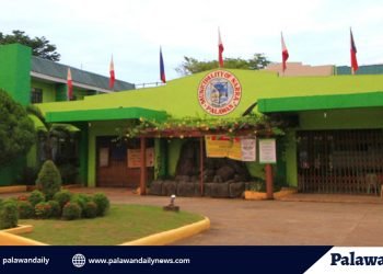 Narra municipal administrator: MDRRMO, iimbestigahan dahil sa face masks