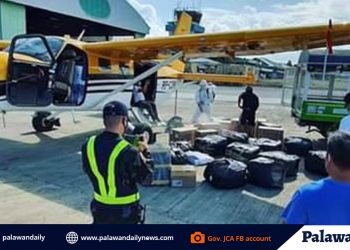 PPE, medical supplies na binili ng Prov’l Gov’t dumating na