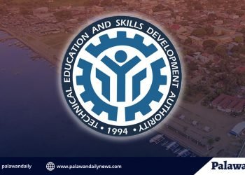 TESDA-Palawan, techvoc institutions provide assistance to Palaweños