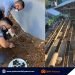 City jail establishes vegetable gardens during ECQ