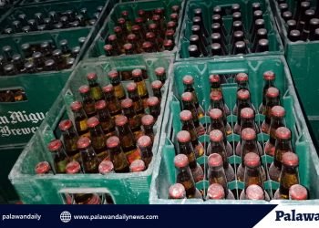 BFAR-MIMAROPA to verify the concrete status of Puerto Princesa Bay shellfishes