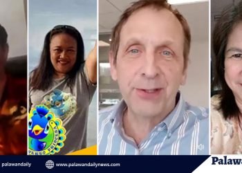 Online Community Batang Puerto Princesa shows support to frontliners