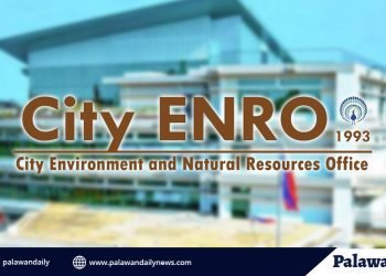 City ENRO cautions security agencies vs. involvement in unlawful timberland occupation