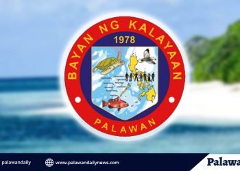 Kalayaan clarifies 3 patients not COVID-19 carriers