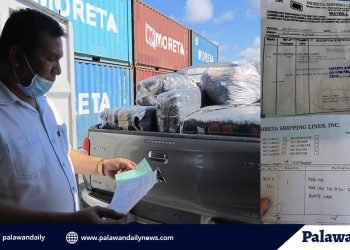 Vice Mayor Lumba, hindi na paiimbestigahan ukol sa face mask issue