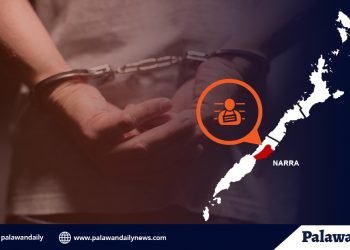 Narra businessman nabbed for selling drugs