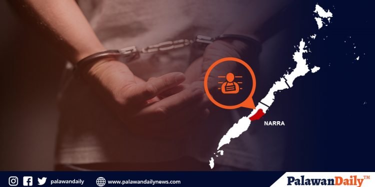 Narra businessman nabbed for selling drugs