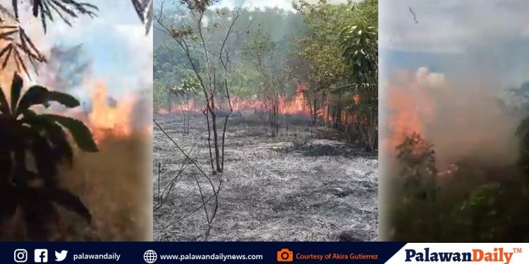 ‘Stop open fire burning to avoid further grass fires,’ City BFP appeals to the public