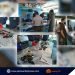 PDLs at Iwahig voluntarily surrender communication gadgets