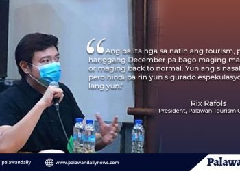 Palawan tourism might recover by December 2020