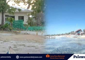 MHO-Roxas, tiniyak na naisagawa ang lahat ng precautionary measures sa Green Island