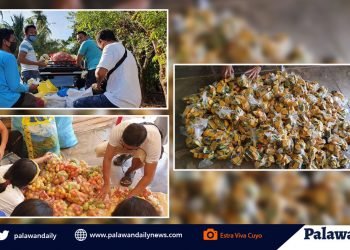 Palawan towns distribute fresh fish, vegetable as relief goods