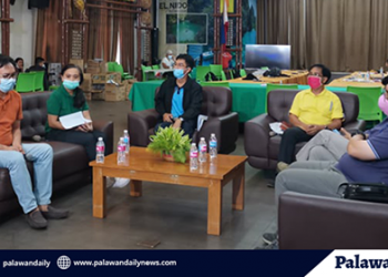 Palawan LGUs ready for strandees’ homecoming