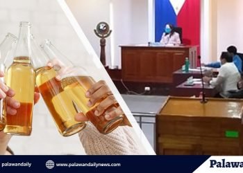 Puerto Princesa City Council thumbs up liquor ban lifting