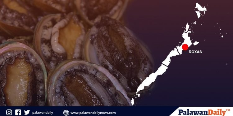 Concerned citizen, nababahala sa mapanirang istilo ng pag-aani abalone sa isang bahagi ng Roxas