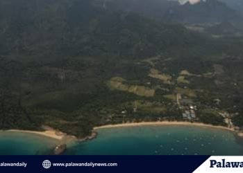 2 suspek dahil sa illegal logging activity sa PPUR protected area, sinampahan na ng kaso