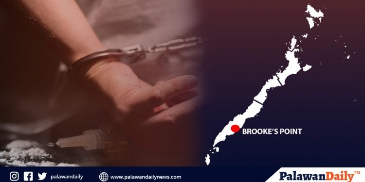 Miyembro ng Bantay-Palawan ng Brooke’s Point, arestado dahil sa pagtaga sa lasing