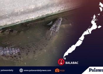 Checkpoint sa City proper ng Puerto Princesa, inililipat-lipat lamang umano ng lugar dahil sa ilang pasaway