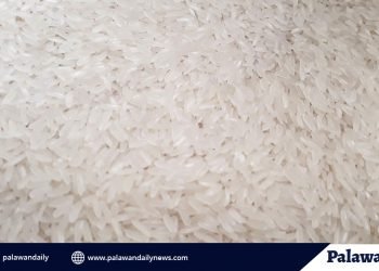 Rice supplier and subcontractor admit irregularity; seek forgiveness and vow to correct underweight packed rice