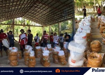 City Agriculture Office distributes fishing gears and seaweed farming inputs to Puerto Princesa fishers
