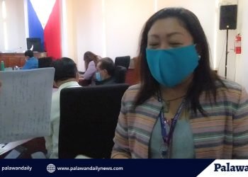 Video conference for committee meetings and sessions pushed at the City Council