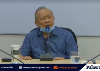Governor Alvarez, tiniyak ang kapakanan ng mga Palaweño at ginagawa ng probinsya sa ilalim ng GCQ