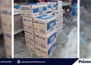 Narra IATF confiscates 20 boxes of liquor