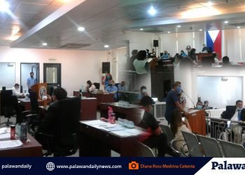 ‘Dagdag na 30%’ sa 1st advisory ng Paleco, mainit na tinalakay sa City Council