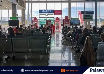 City Hall eyes resumption of domestic flights by June 10