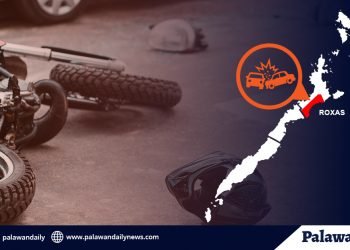 Pulis, patay matapos bumangga sa truck