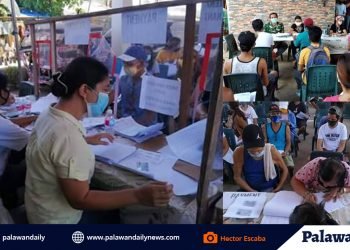 DSWD distributes SAP to 99.64% of Palawan recipients