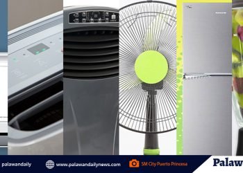 Keep Cool Indoors with These Appliances