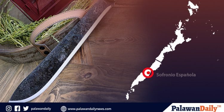 Magsasaka sa Española pinagtataga, patay