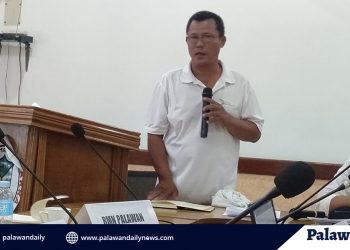 Mayor Danao: Kasong isinasampa ng Sangguniang Bayan ng Narra, pamumulitika