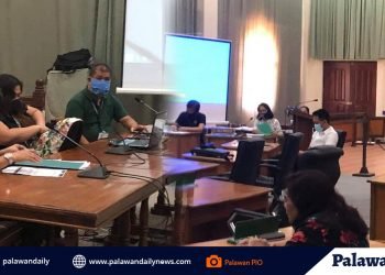 BM Maminta, walang problema sa Paleco billing scheme