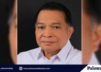 Libreng sakay ng Puerto Princesa, sinaluduhan ng DOTr