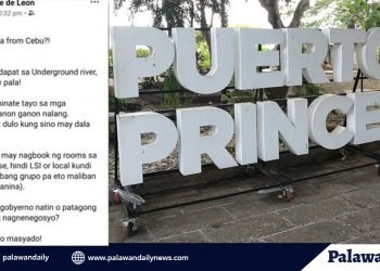 Grupo ng mga Cebuanong turista na namamasyal sa Puerto Princesa, imposible ayon sa City Tourism Office
