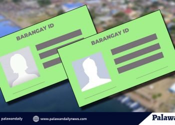 City Council pushed for Barangay ID System and database