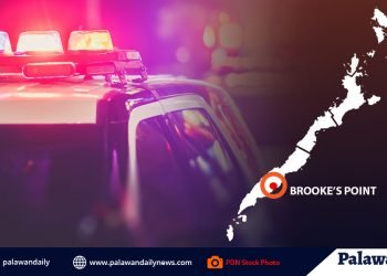 2 kalalakihan, huli sa buy-bust sa Brooke’s Point