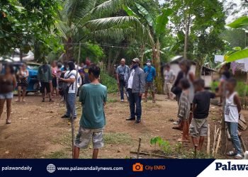 Informal settlers in Bucana-Matahimik mangrove areas told to vacate until July 30