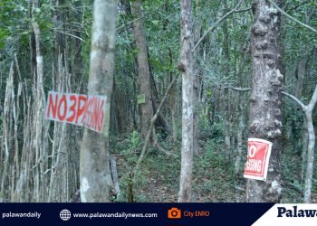 City ENRO: Gov’t should revisit its forest protection program