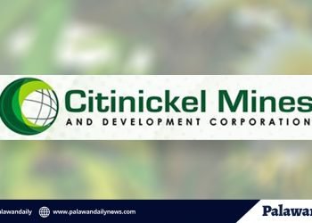 Citinickel Mines, walang ibinayad at dapat bayaran dahil exempted sa local taxes