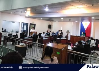 City Tourism Office records 2,006 Puerto Princesan LSIs all over the country